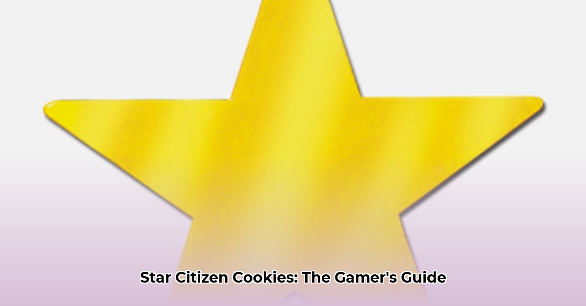 star-citizen-support